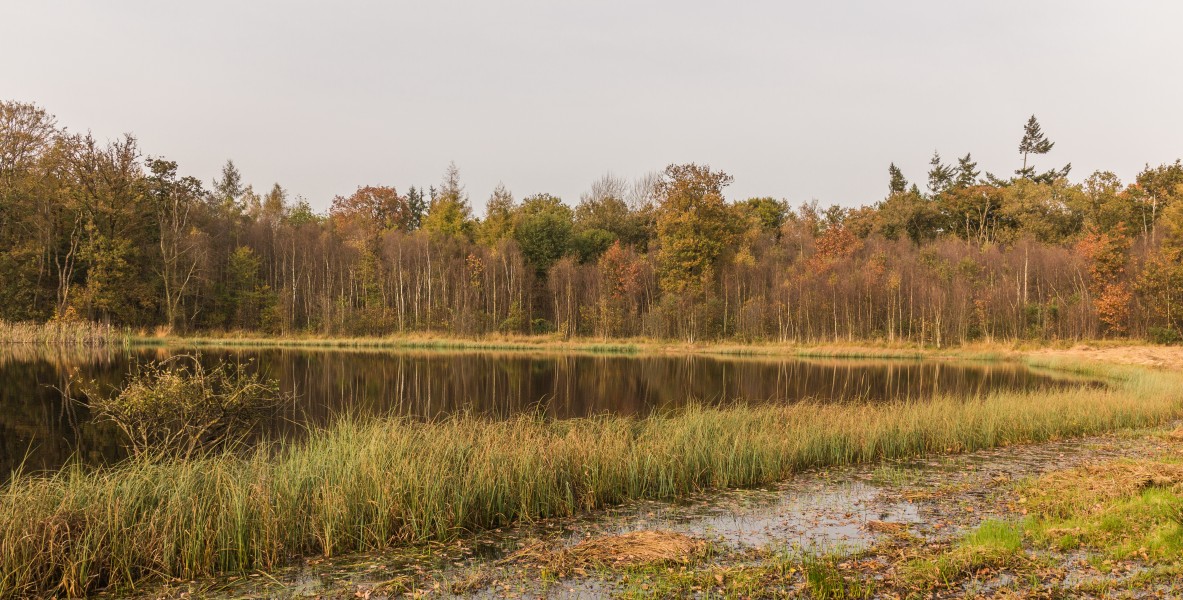 Herfstwandeling door het Wijnjeterper Schar 028
