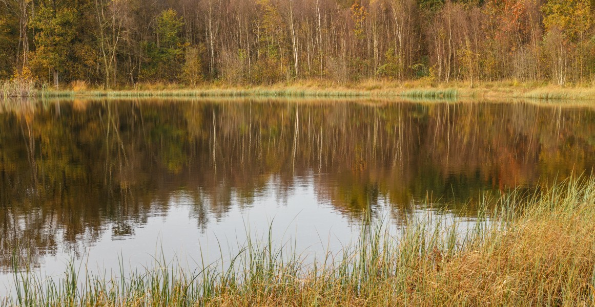 Herfstwandeling door het Wijnjeterper Schar 030