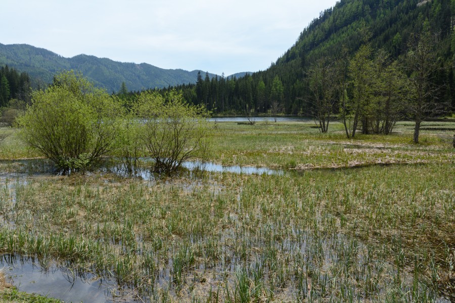 Ingeringsee gegen Südosten 20160527 02