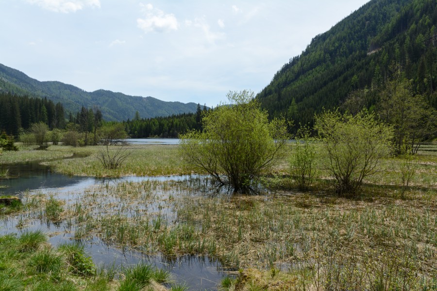 Ingeringsee gegen Südosten 20160527 03