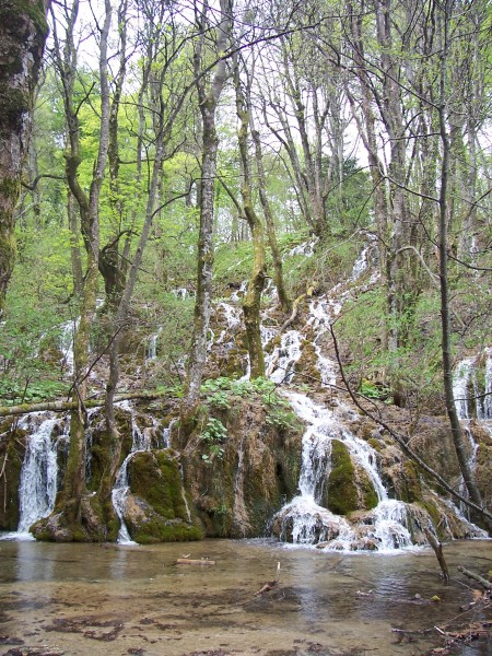 Inside Plitvice Lakes National Park