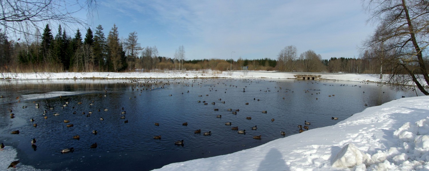 Jäneda Allikajärv
