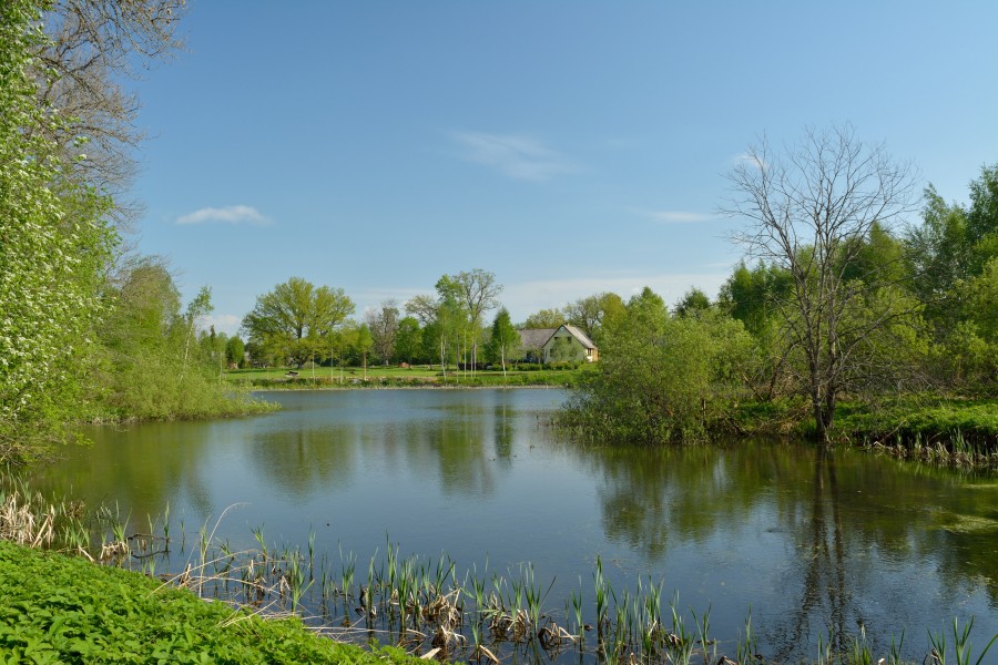 Juta järv