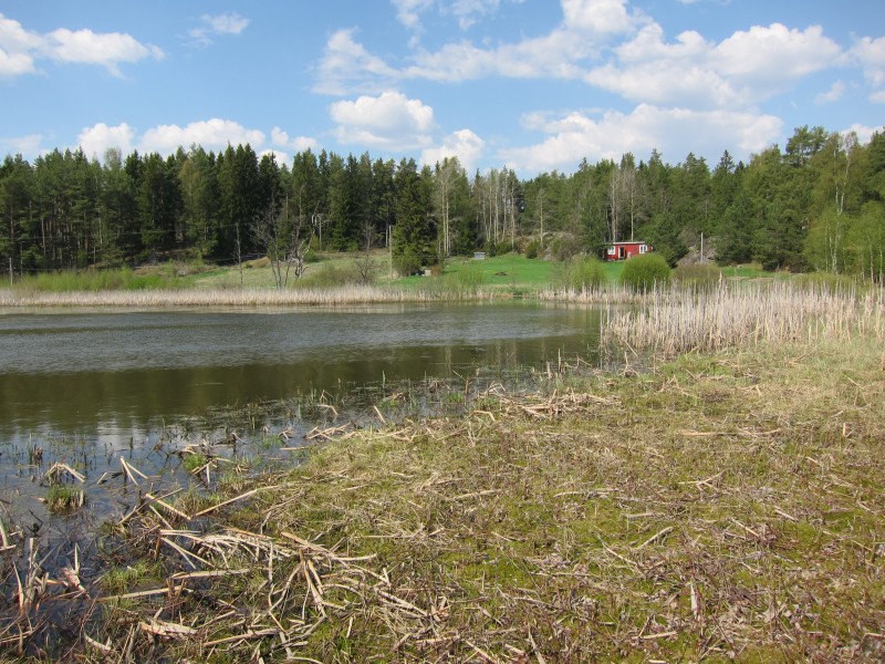 Köylijärvi, Naantali, 15.5.2010 (2)