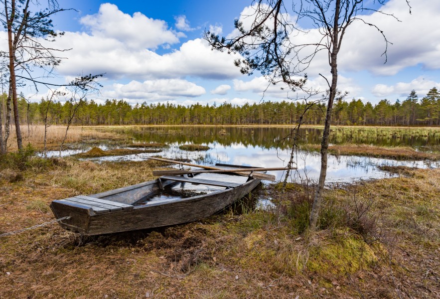 Knuttjärnen 2017-05-10