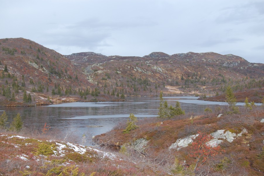 Kroktjonn2