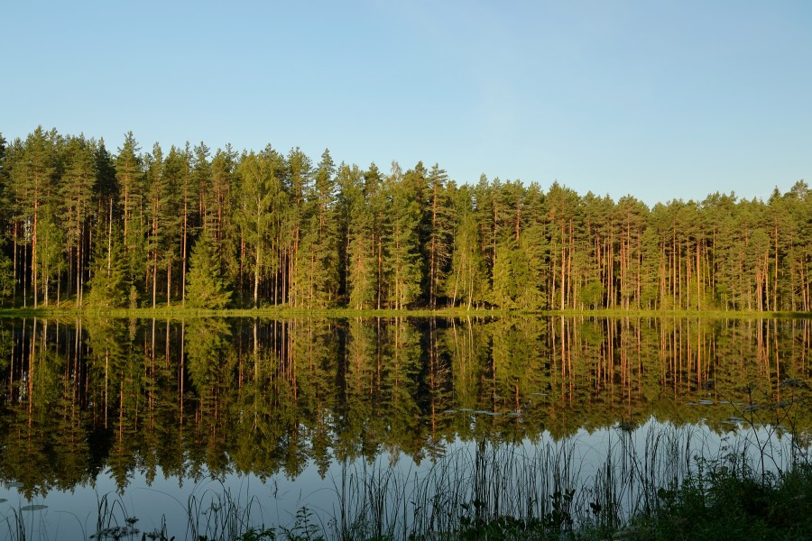 Kublitsa järv