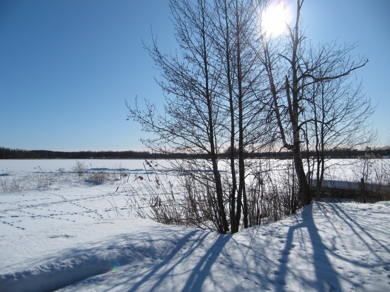 Lången Kårstaö 2010