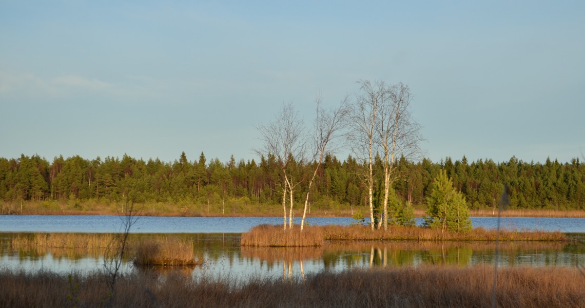Laanemaa järv