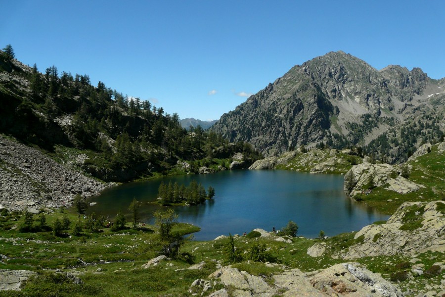 Lac-trecolpas mont-pelago