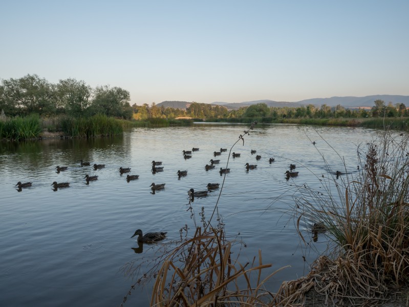 Lago de Olárizu 04