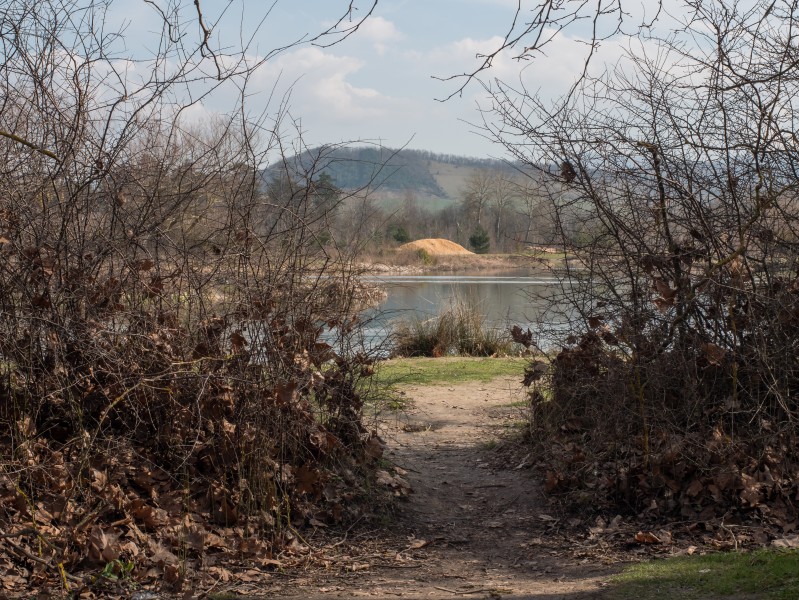 Lago de Olárizu 13