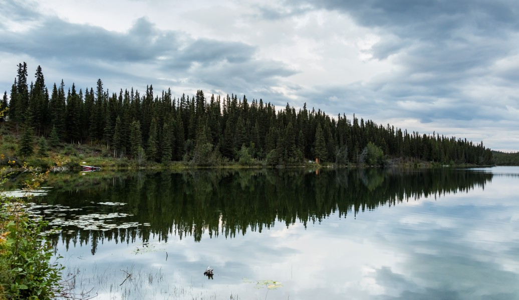 Lago Plateado, Parque nacional y reserva Wrangell-San Elías, Alaska, Estados Unidos, 2017-08-22, DD 128
