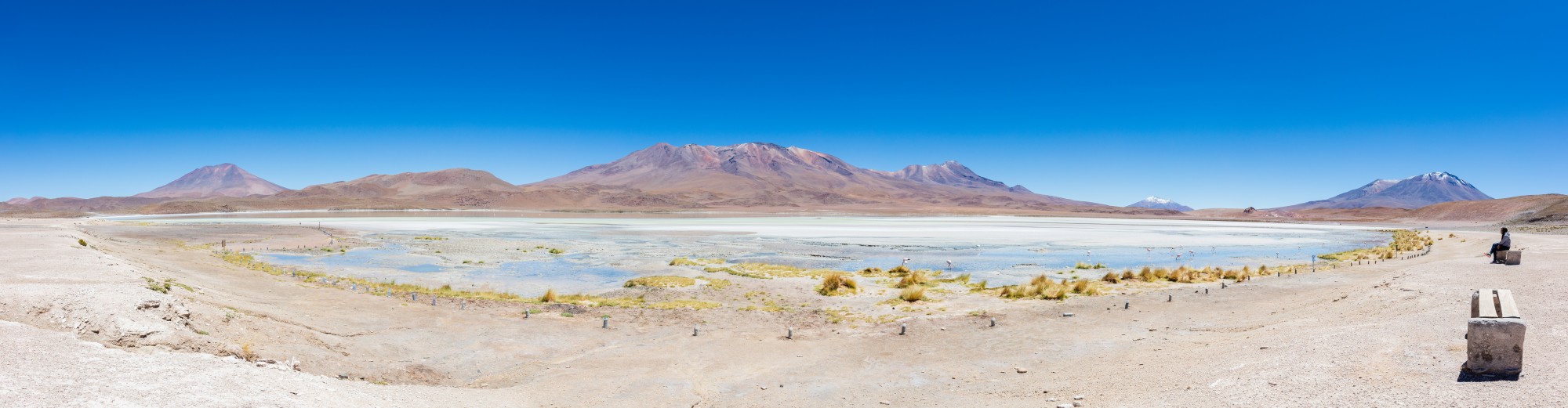 Laguna Hedionda, Bolivia, 2016-02-03, DD 51-54 PAN