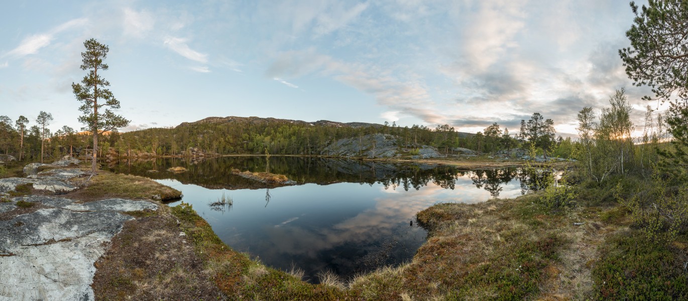 Lake near Rv93, Finnmark 20150612 1