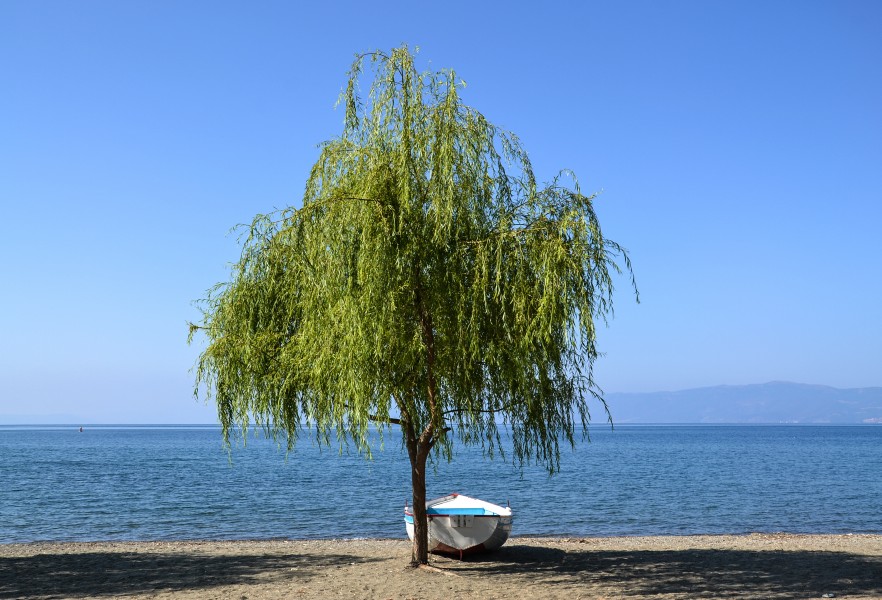 Lake Ohrid near city Ohrid