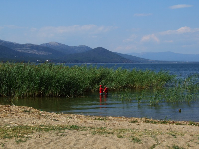 Lake Prespa - Stenje beach 3