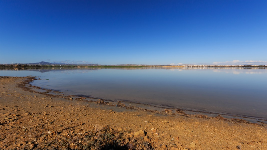Larnaca 01-2017 img29 Salt Lake