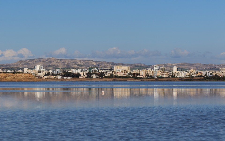 Larnaca 01-2017 img31 Salt Lake