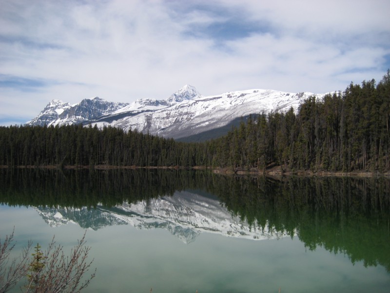 Leach Lake, Alberta (5808755195)