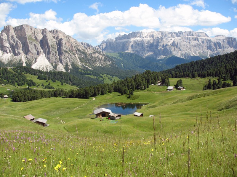 Lechsant Stevia Sella
