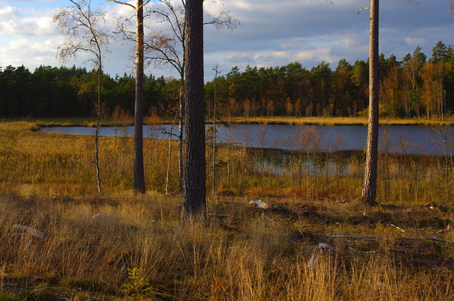 Lilla Eketången 01