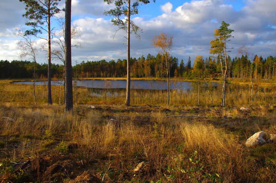 Lilla Eketången 02