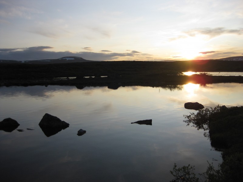 Midnight sun Tana