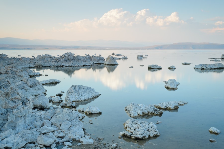 Mono Lake Old Marina August 2013 006
