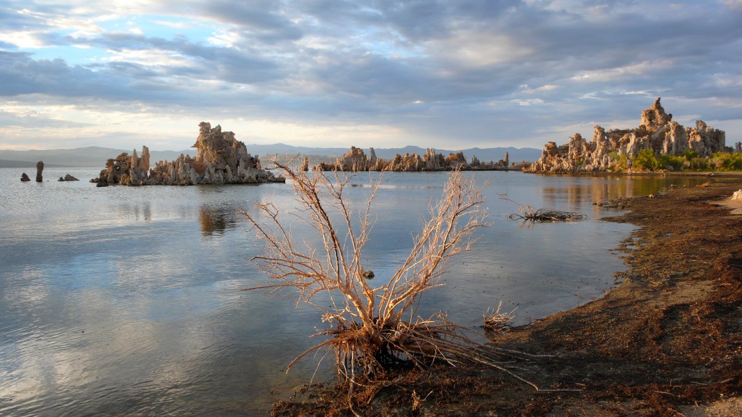 MonoLake2007