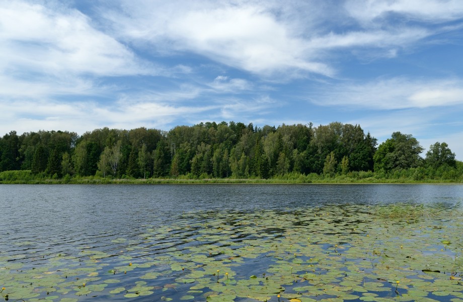 Mooste järv