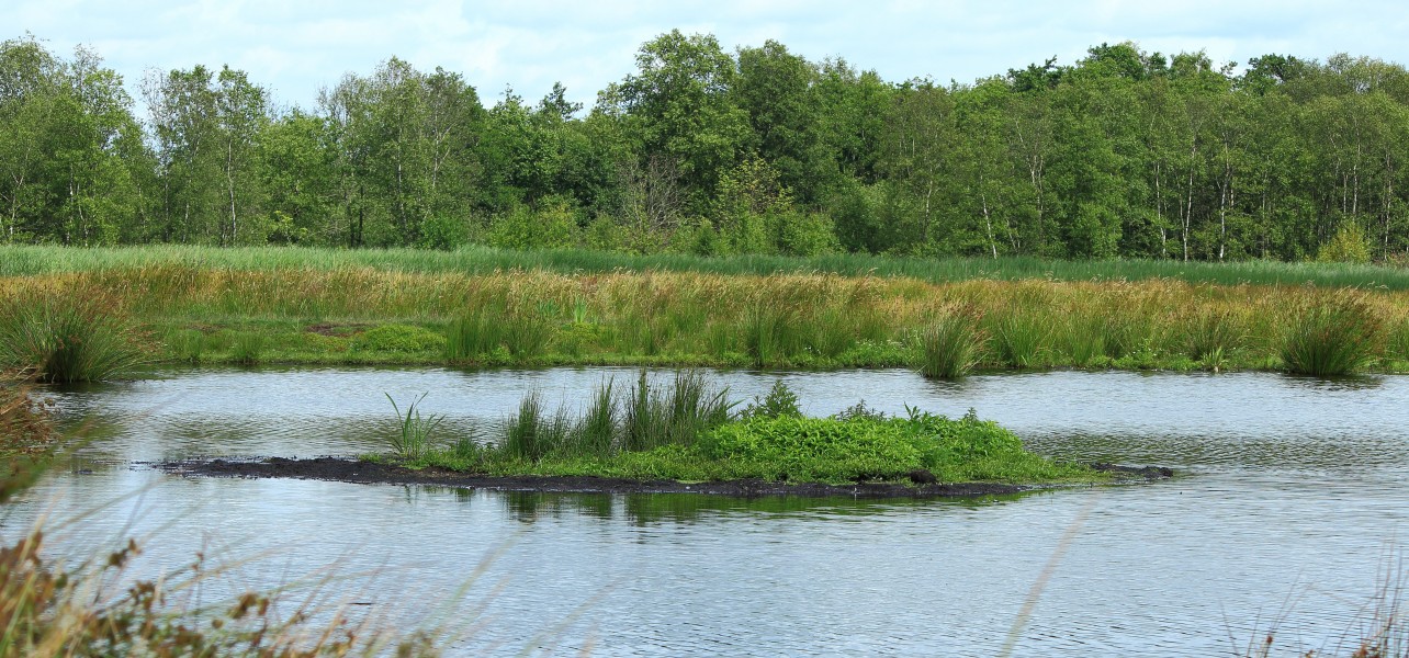 Nationaal Park De Alde Feanen. Locatie, It Wikelslân 014