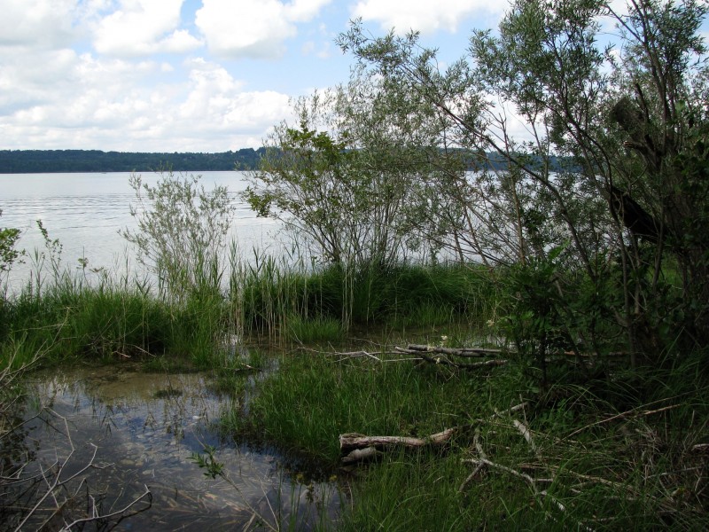 NSG Starnberger See Ostufer-2