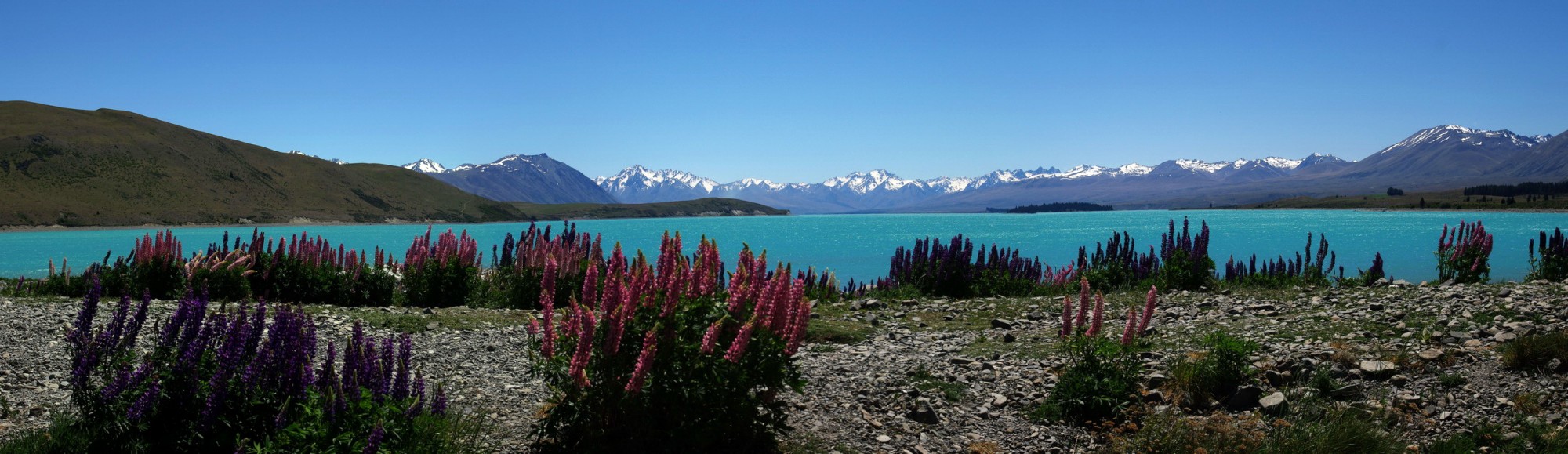 NZL-lake-tekapo-pano