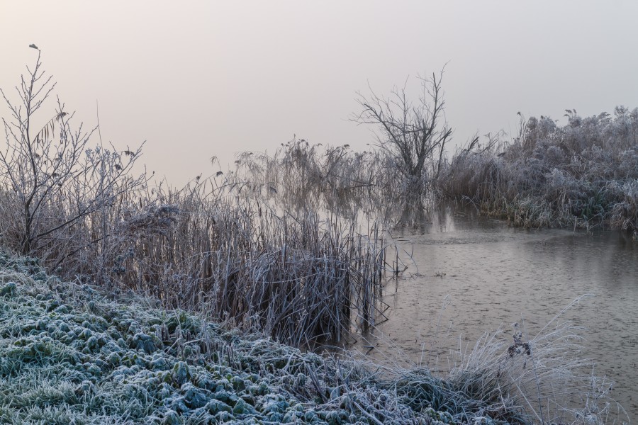 Oever van het meer in de mist. Locatie, Langweerderwielen (Langwarder Wielen) en omgeving 01