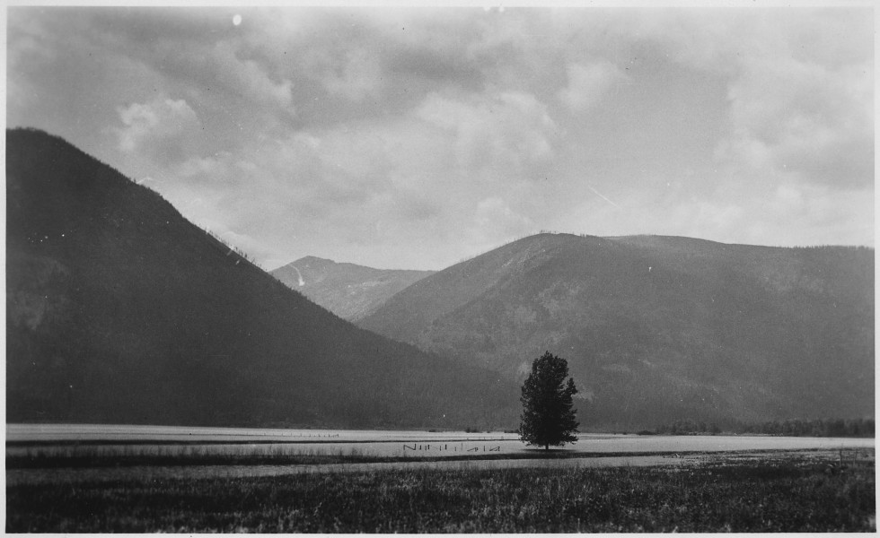 Overflow pondage area on June 12, 1929, prior to reclamation, now included in drainage district No. 13. Canyon of... - NARA - 298503