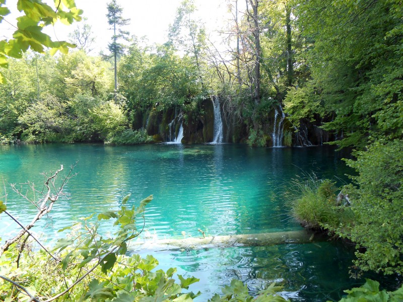 Plitvice 053 Burgeti