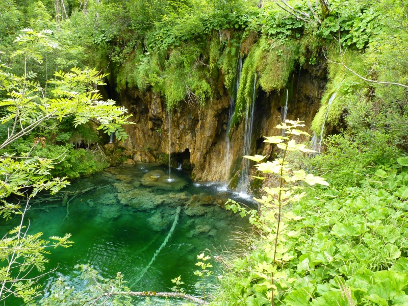 Plitvice Lakes , Croatia, summer 2011 (11)