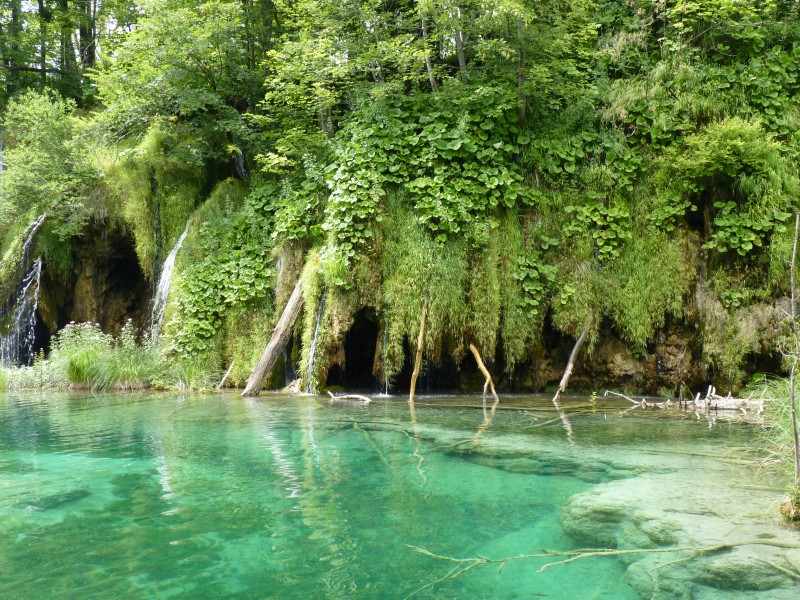 Plitvice Lakes , Croatia, summer 2011 (18)
