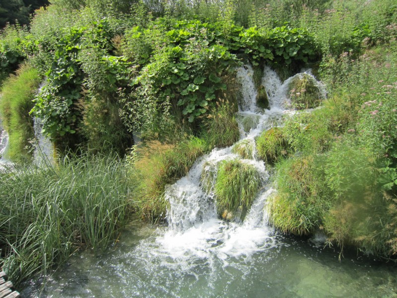 Plitvice Lakes National Park 45