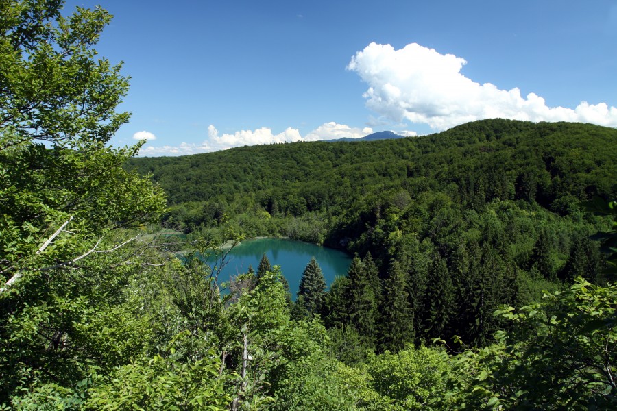 Plitvice Lakes National Park in 2014 (9)