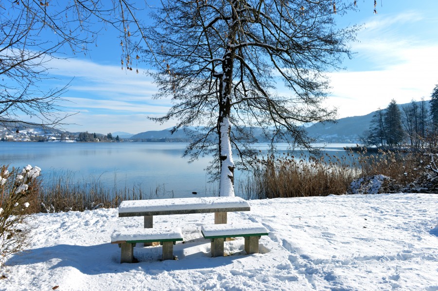 Poertschach Halbinselpromenade Rastplatz vor Erle 29122014 677