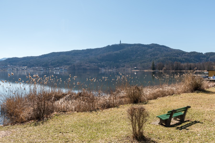 Poertschach Johannaweg Schilfrohr Blick Richtung Pyramidenkogel 08032017 6473