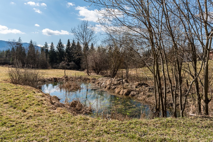Poertschach Winklern Brockweg Weiher 12032016 6529