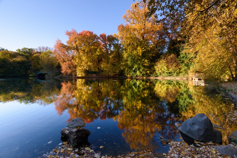 Prospect Park New York November 2016 004