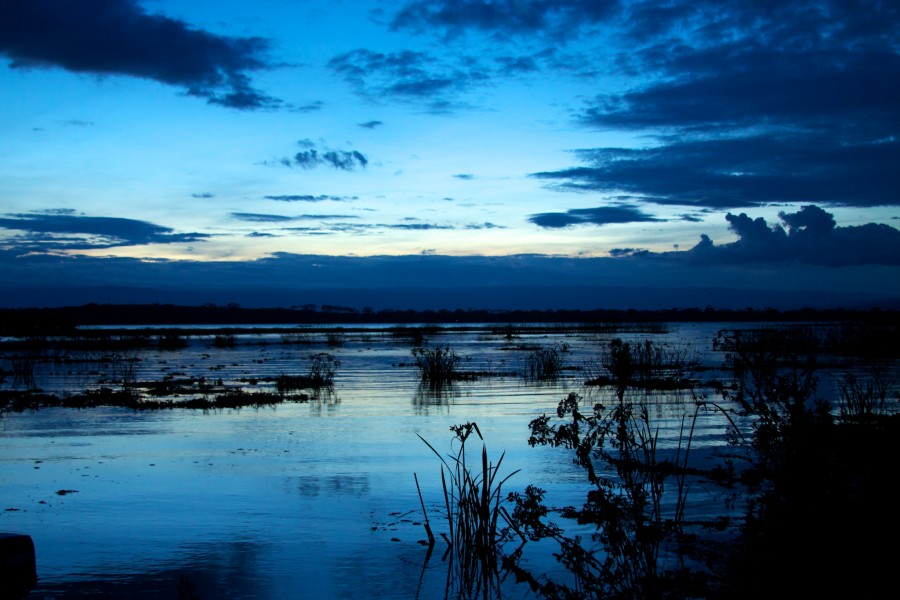 Quiet dusk over Lake Naivasha (5232083375)