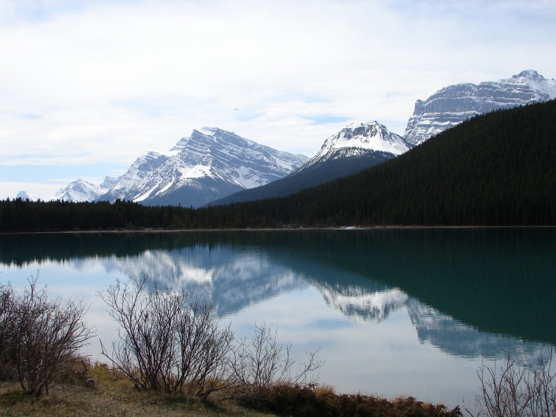 Rockies (279277838)