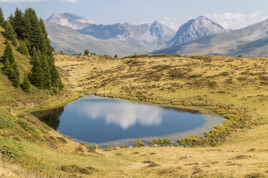 Scheideggseeli (2)