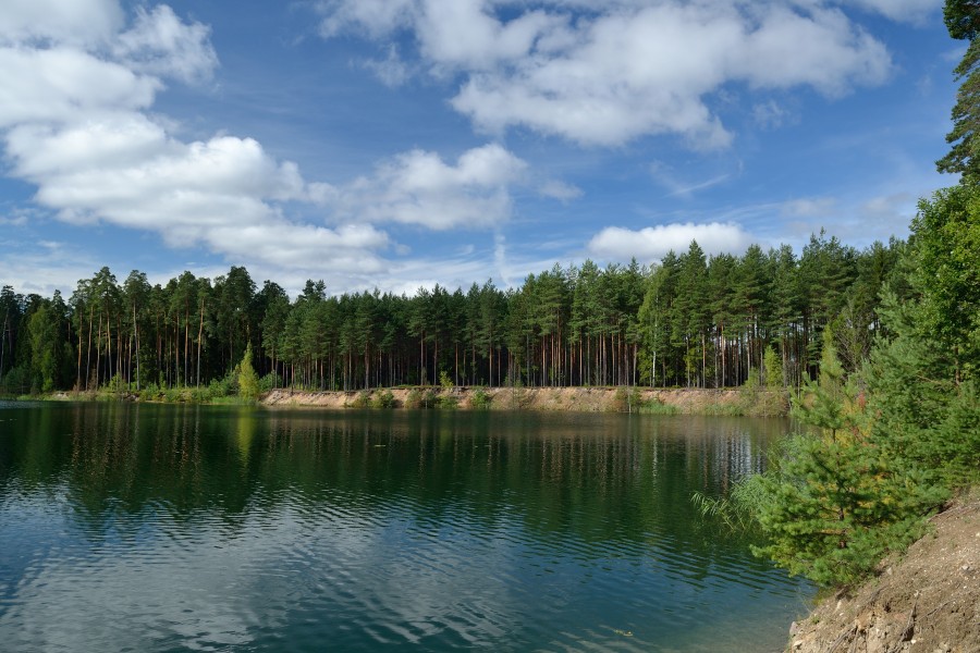 Seljametsa järv