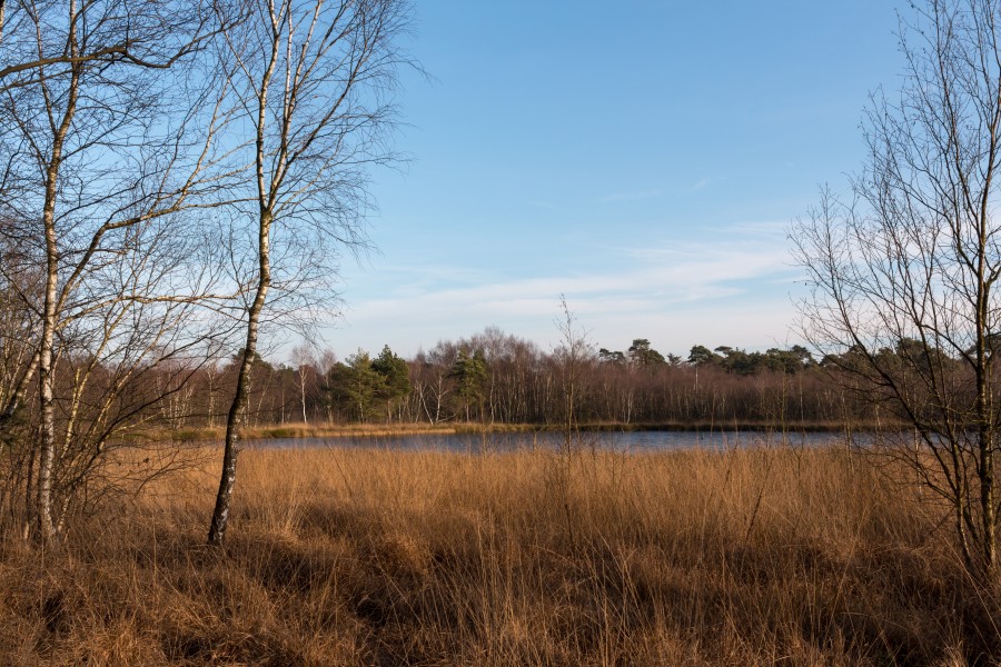 Senden, Venner Moor -- 2016 -- 5879